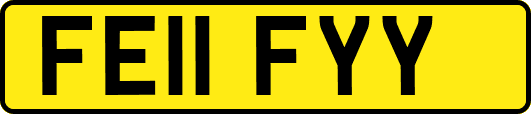 FE11FYY