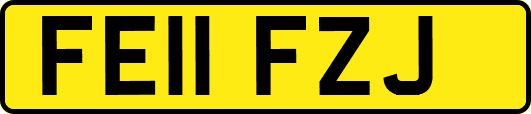 FE11FZJ