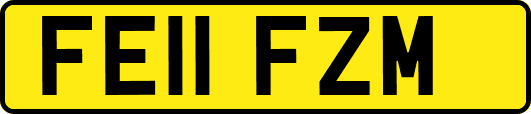FE11FZM