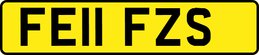 FE11FZS