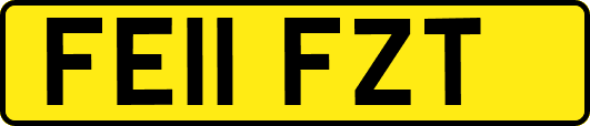 FE11FZT
