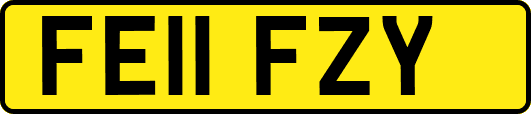 FE11FZY