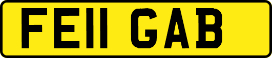 FE11GAB