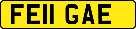 FE11GAE