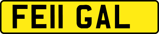 FE11GAL