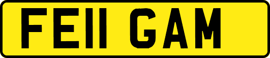 FE11GAM