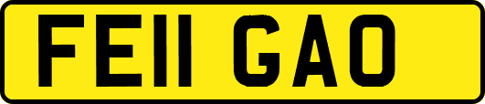 FE11GAO