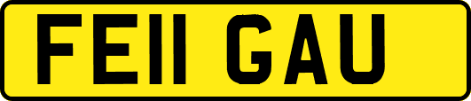 FE11GAU
