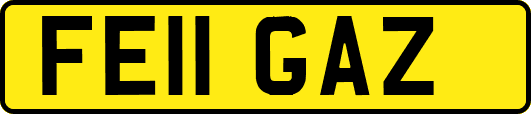 FE11GAZ
