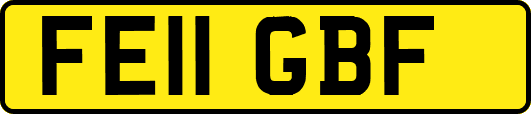 FE11GBF