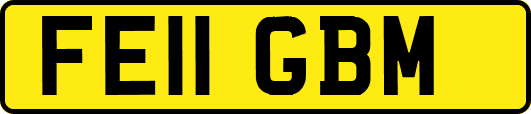 FE11GBM