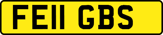 FE11GBS