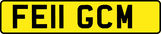 FE11GCM