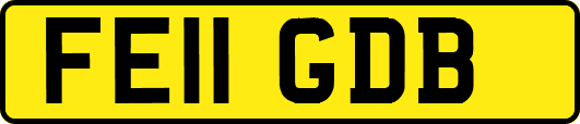 FE11GDB