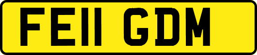 FE11GDM