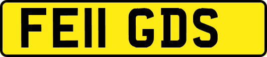 FE11GDS