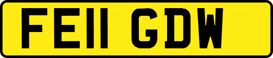 FE11GDW