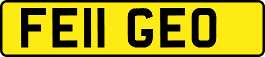 FE11GEO