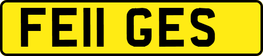FE11GES