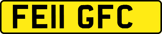 FE11GFC