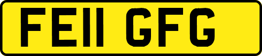FE11GFG