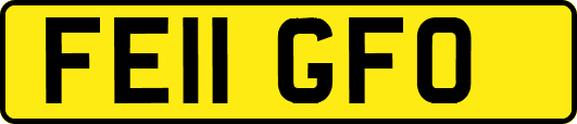 FE11GFO