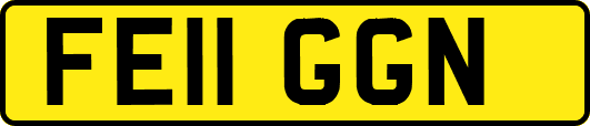 FE11GGN