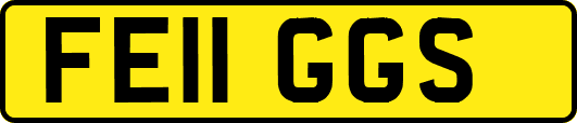 FE11GGS
