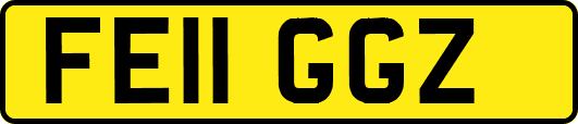 FE11GGZ