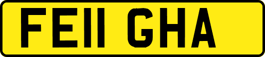 FE11GHA