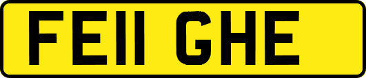 FE11GHE