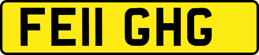 FE11GHG