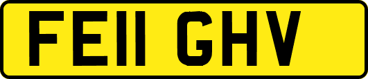 FE11GHV