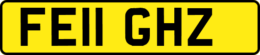 FE11GHZ