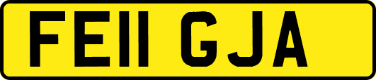 FE11GJA