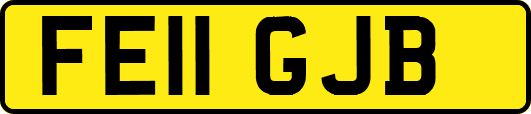 FE11GJB