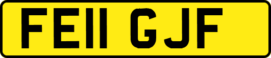 FE11GJF
