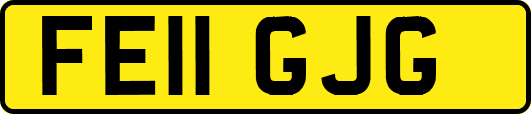 FE11GJG