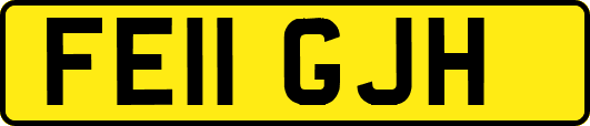 FE11GJH