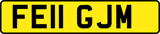FE11GJM