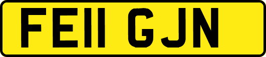 FE11GJN