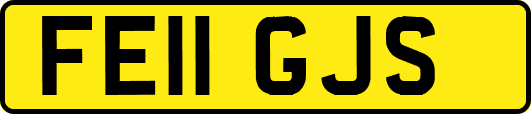 FE11GJS