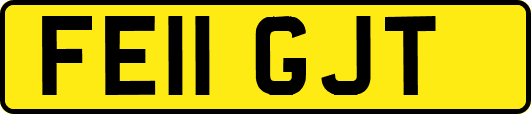 FE11GJT