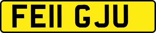 FE11GJU