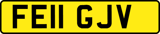 FE11GJV