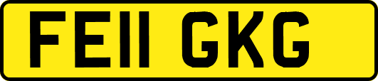 FE11GKG