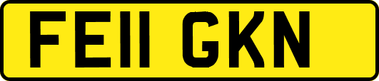 FE11GKN