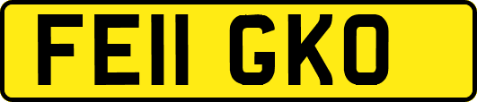 FE11GKO