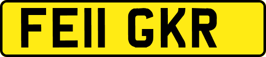 FE11GKR
