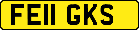 FE11GKS